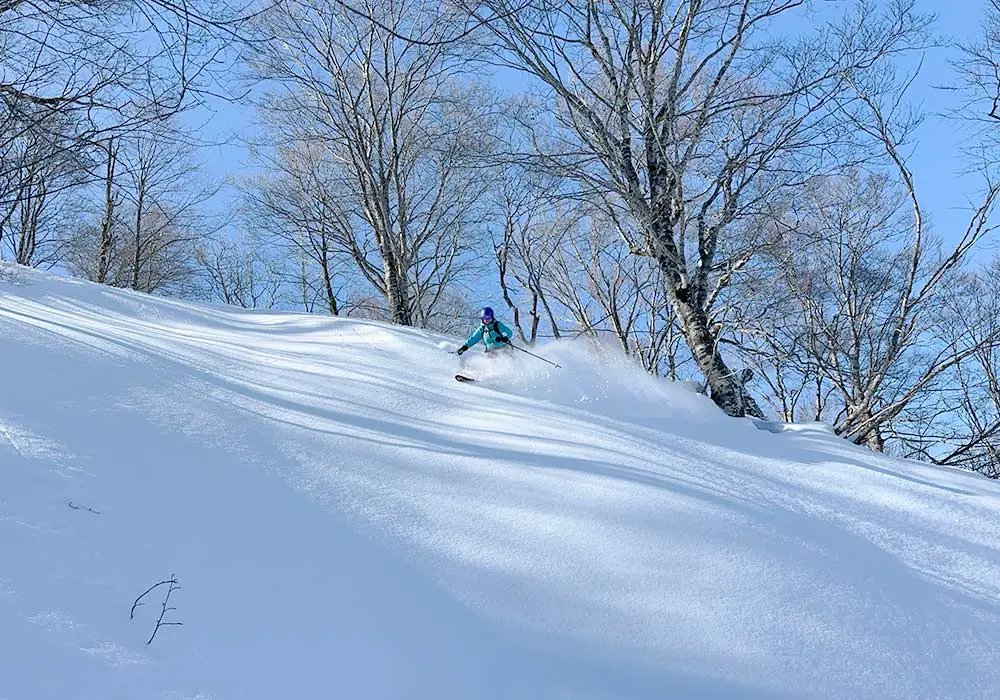 ⛷️ 아키타 하치만타이 스키장 (아키타 하치만타이 스키-조)